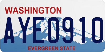 WA license plate AYE0910