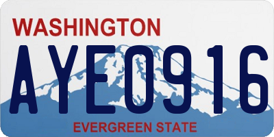 WA license plate AYE0916