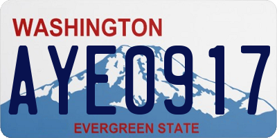 WA license plate AYE0917