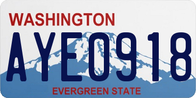 WA license plate AYE0918