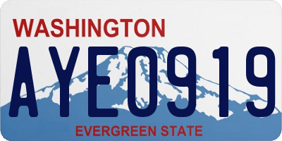 WA license plate AYE0919