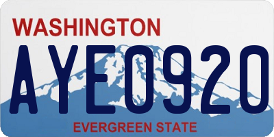 WA license plate AYE0920