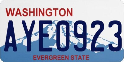 WA license plate AYE0923