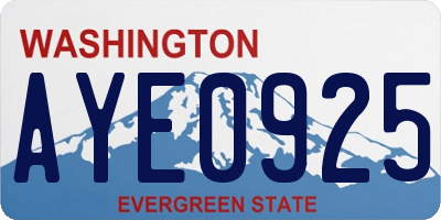 WA license plate AYE0925