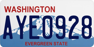 WA license plate AYE0928