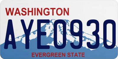 WA license plate AYE0930