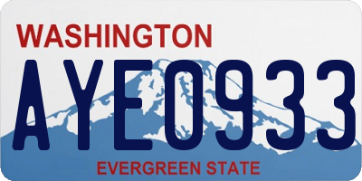 WA license plate AYE0933