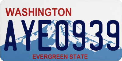 WA license plate AYE0939