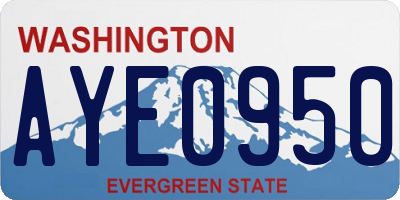 WA license plate AYE0950