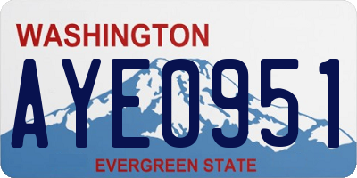WA license plate AYE0951