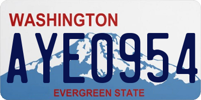 WA license plate AYE0954