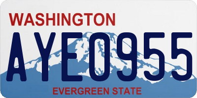 WA license plate AYE0955