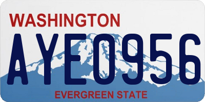 WA license plate AYE0956