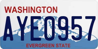 WA license plate AYE0957