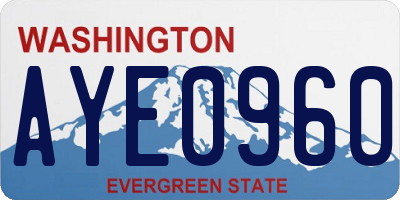 WA license plate AYE0960
