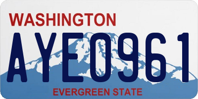 WA license plate AYE0961