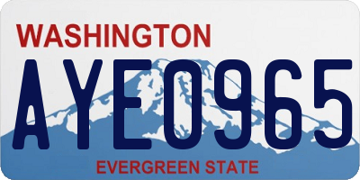 WA license plate AYE0965