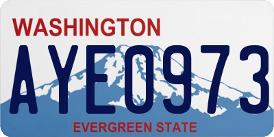 WA license plate AYE0973