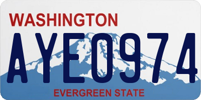 WA license plate AYE0974