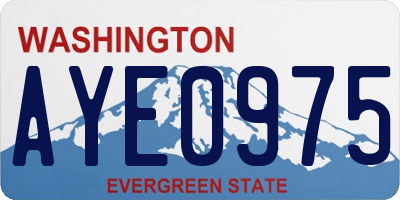 WA license plate AYE0975