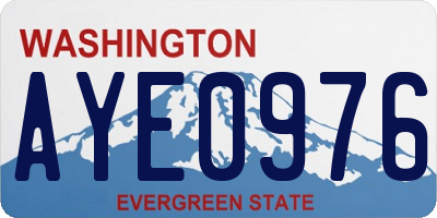 WA license plate AYE0976