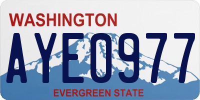 WA license plate AYE0977