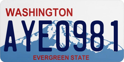 WA license plate AYE0981