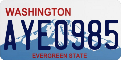 WA license plate AYE0985