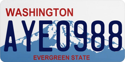 WA license plate AYE0988