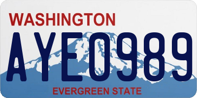 WA license plate AYE0989