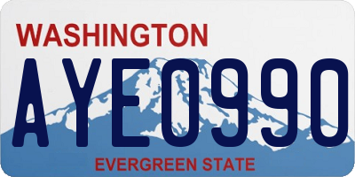 WA license plate AYE0990