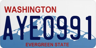 WA license plate AYE0991