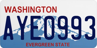 WA license plate AYE0993