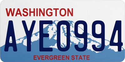 WA license plate AYE0994