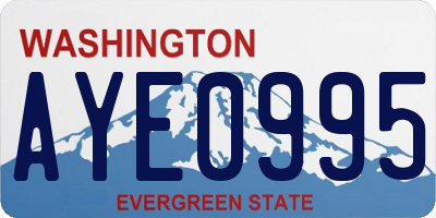 WA license plate AYE0995