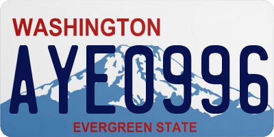WA license plate AYE0996