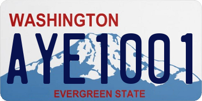 WA license plate AYE1001