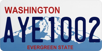 WA license plate AYE1002