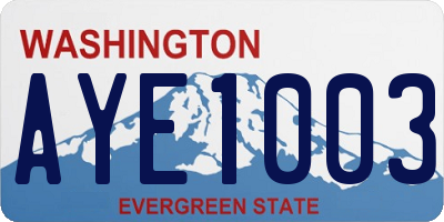 WA license plate AYE1003