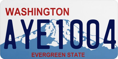 WA license plate AYE1004