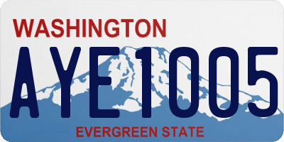 WA license plate AYE1005