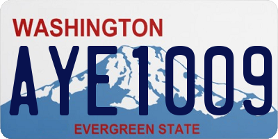 WA license plate AYE1009