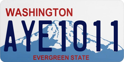 WA license plate AYE1011