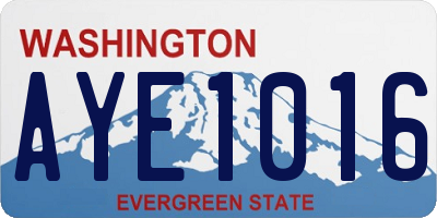 WA license plate AYE1016