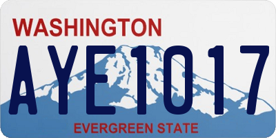 WA license plate AYE1017