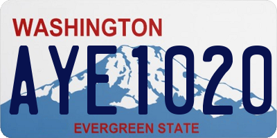 WA license plate AYE1020
