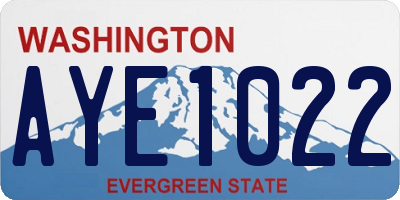 WA license plate AYE1022