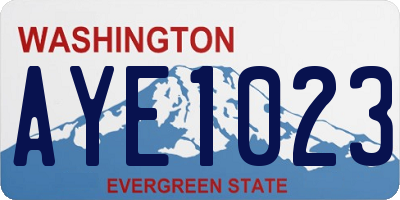 WA license plate AYE1023