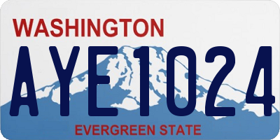 WA license plate AYE1024