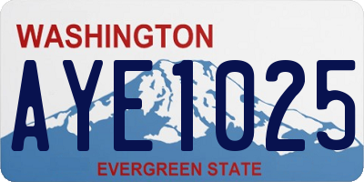 WA license plate AYE1025